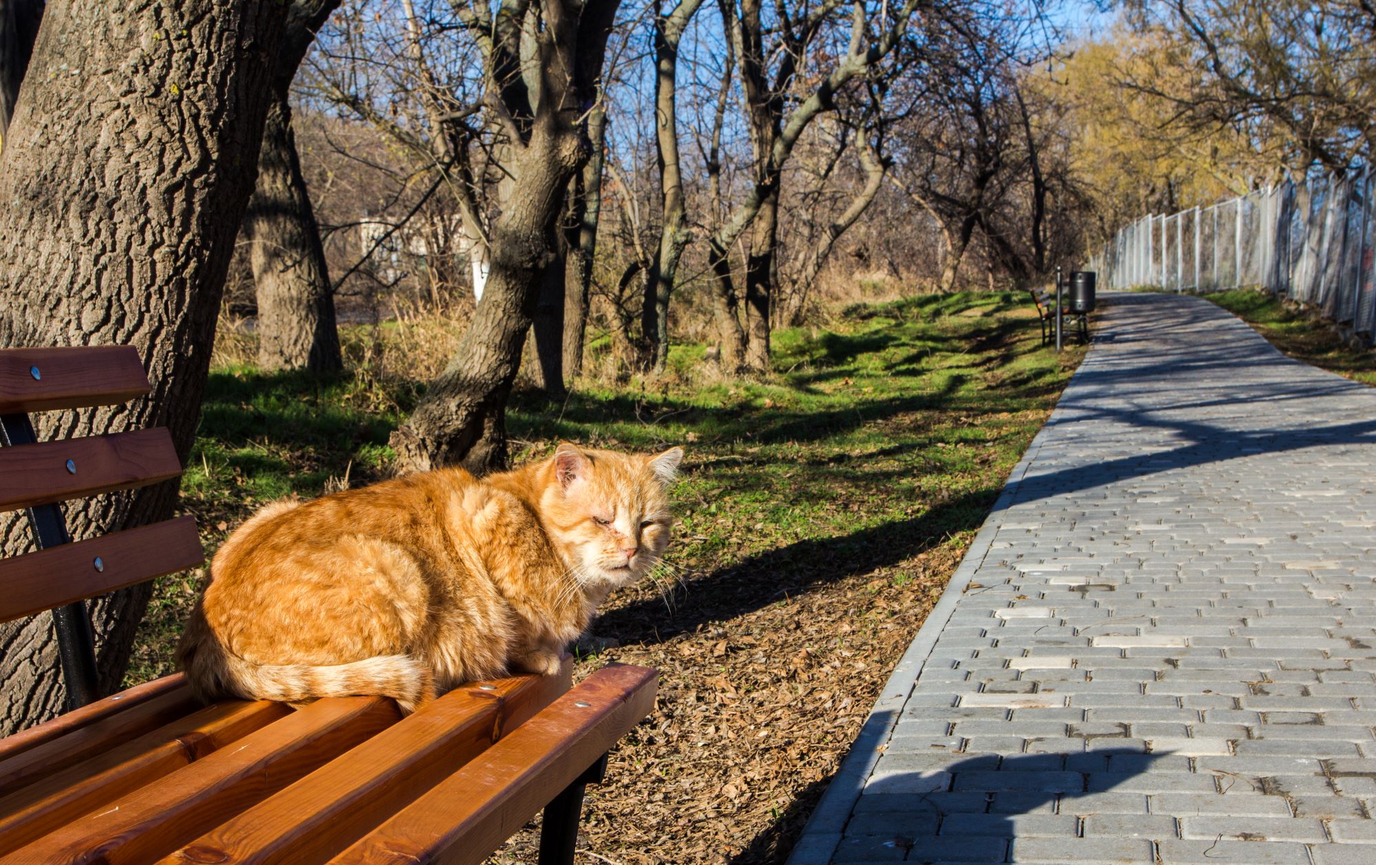 Прогулянки біля моря як альтернатива Карпатам. За яким відпочинком їдуть в Одесу взимку
